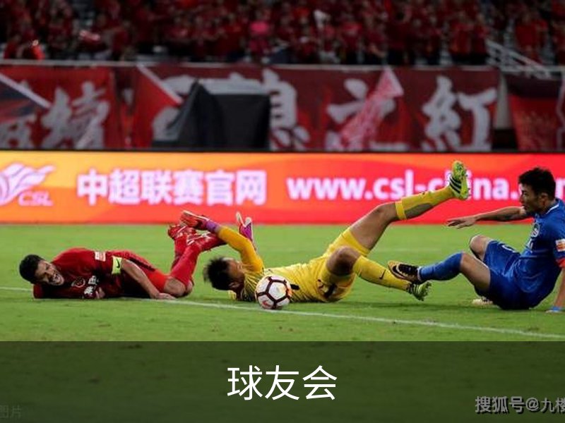 球友会简介